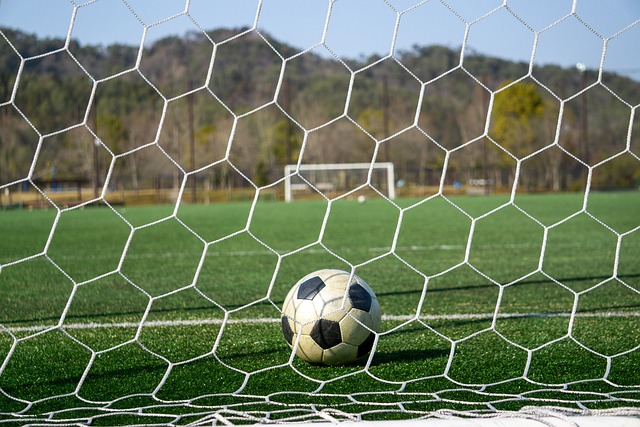 资源整合方 资源整合方