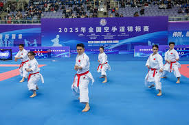 球迷的热情 球迷的热情