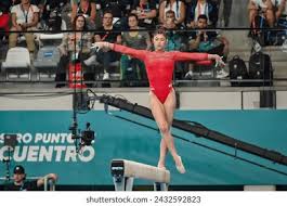 政策调整或 政策调整或