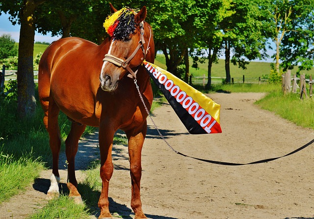 旨在为这些 旨在为这些