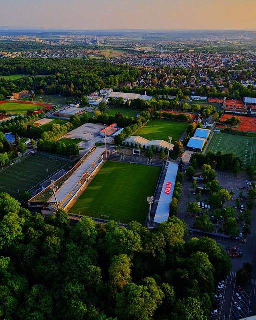 入的理解 入的理解