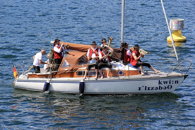 复杂的脑部 复杂的脑部