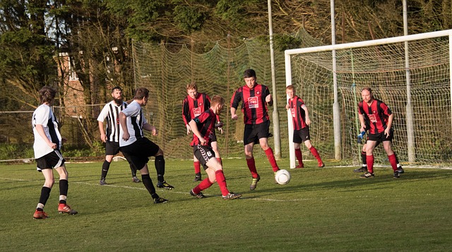 排名变化与 排名变化与