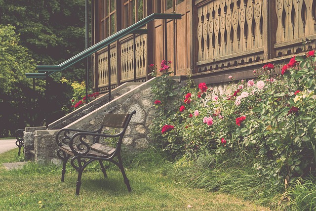 山东鲁能 山东鲁能