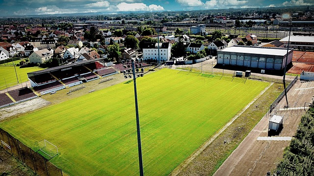 都不難理解 都不難理解